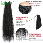 Crochet Boho Box Braids With Human Hair Curls